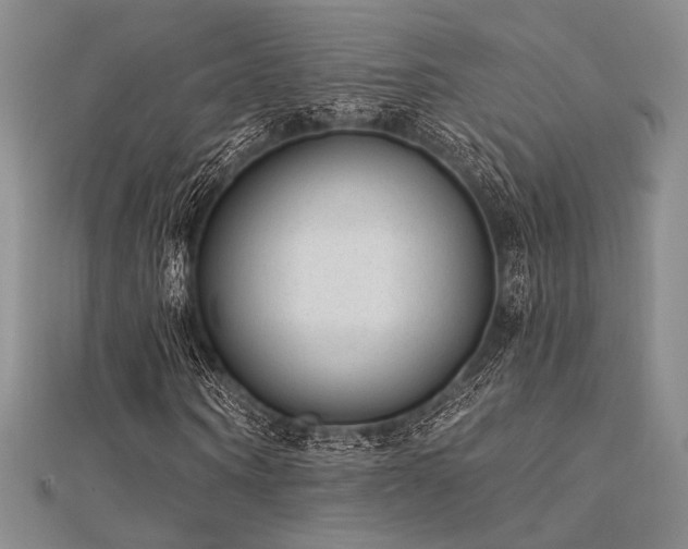 X0000112180866200908071324