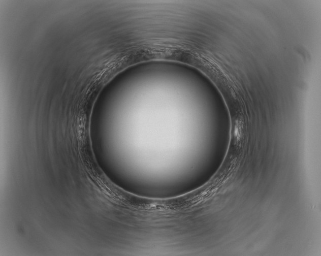 X0000112180867200908071324