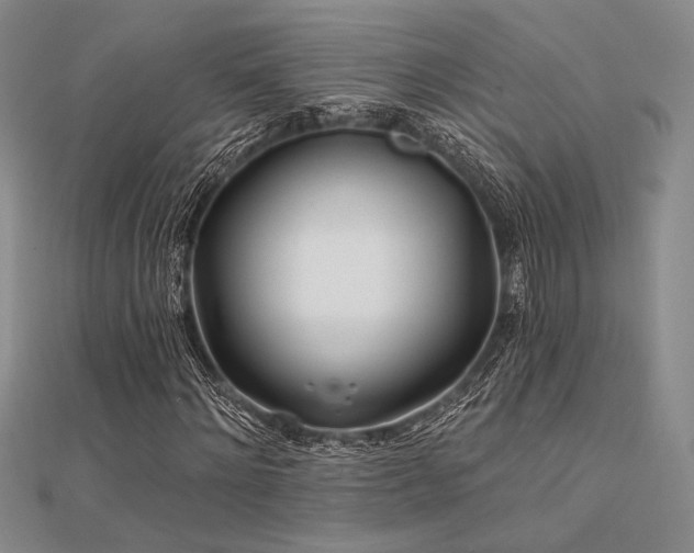 X0000112180868200908071324