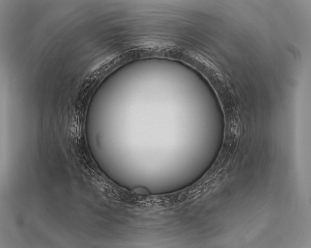 X0000112180869200908071324