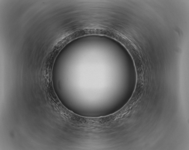 X0000112180870200908071324