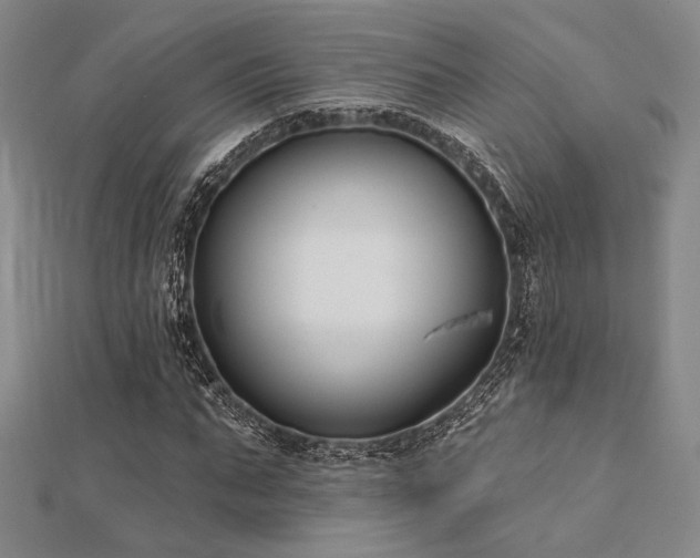 X0000112180871200908071324