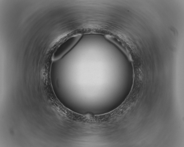 X0000112180872200908071324