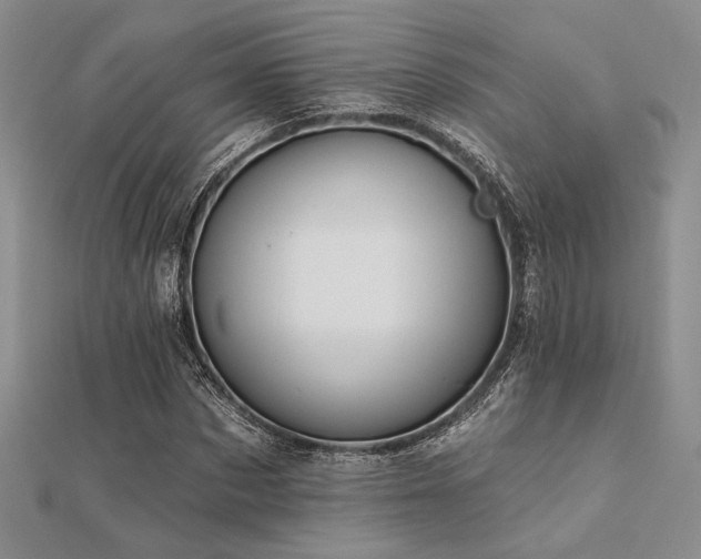 X0000112180873200908071324