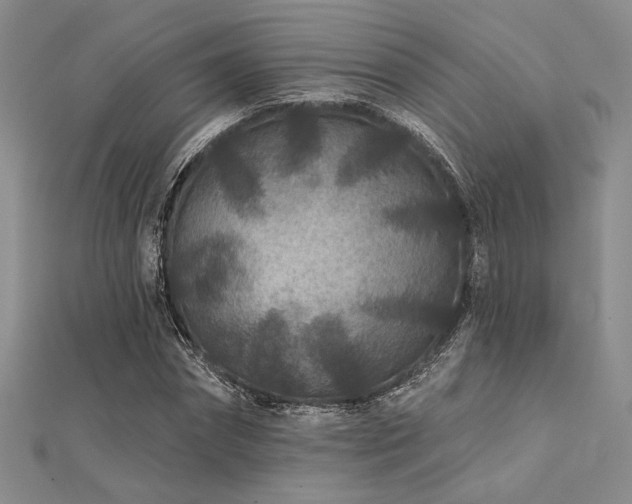 X0000112180874200908071324