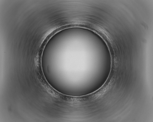 X0000112180875200908071324