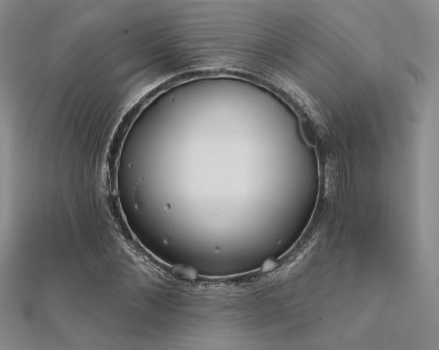 X0000112180876200908071324