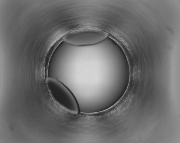 X0000112180877200908071324