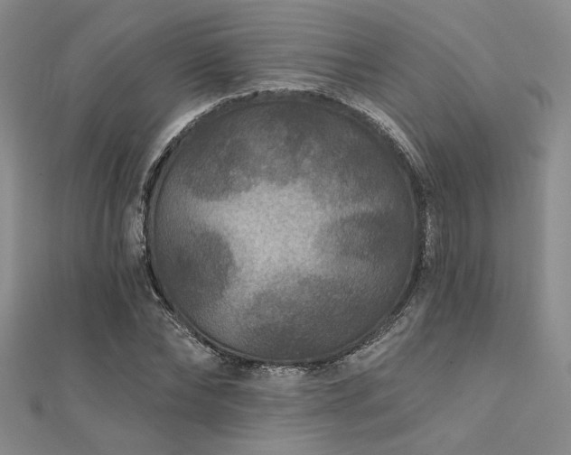 X0000112180878200908071324