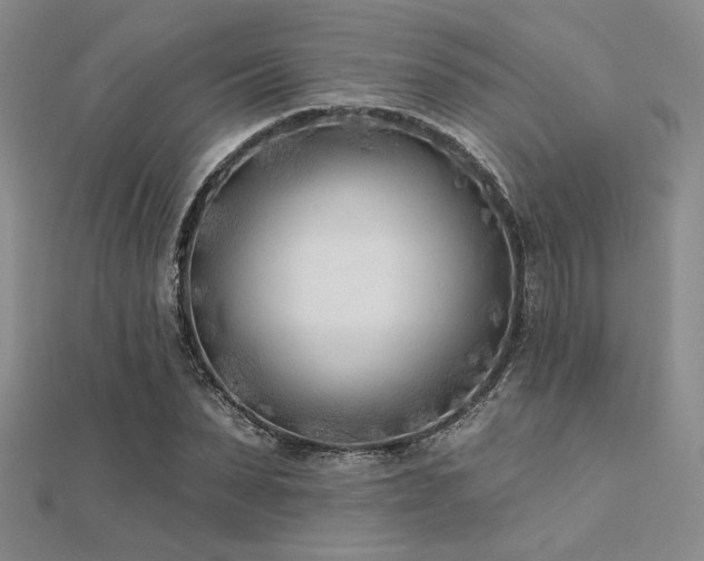 X0000112180879200908071324