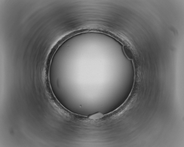 X0000112180880200908071324