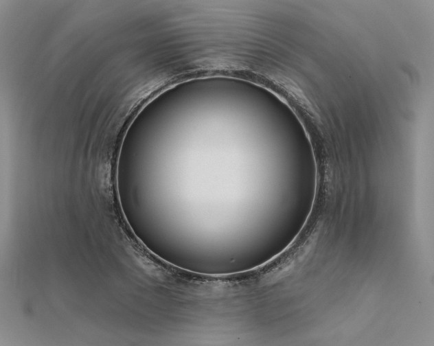 X0000112180881200908071324