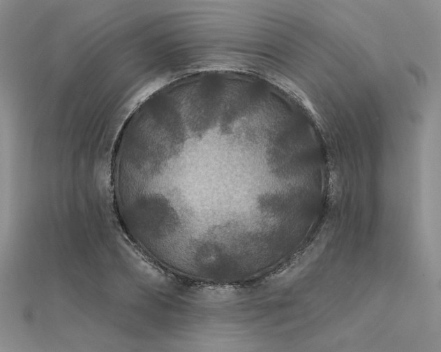 X0000112180882200908071324