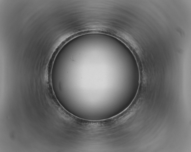 X0000112180883200908071324