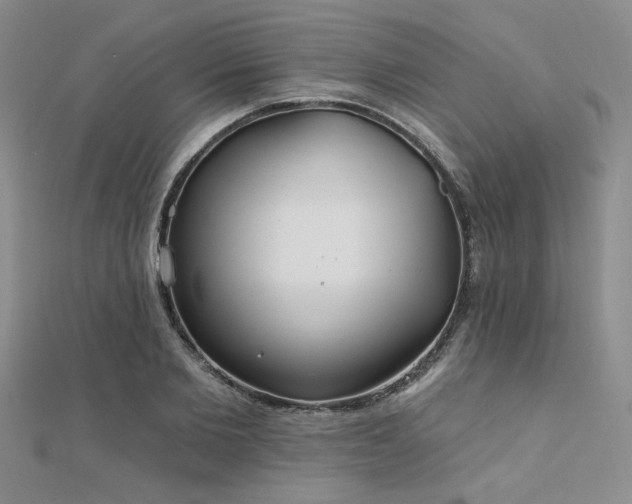 X0000112180885200908071324