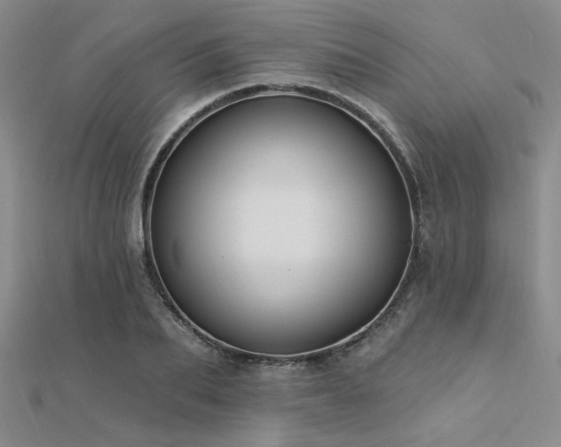 X0000112180887200908071324