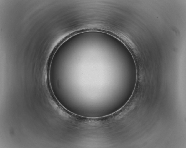 X0000112180888200908071324