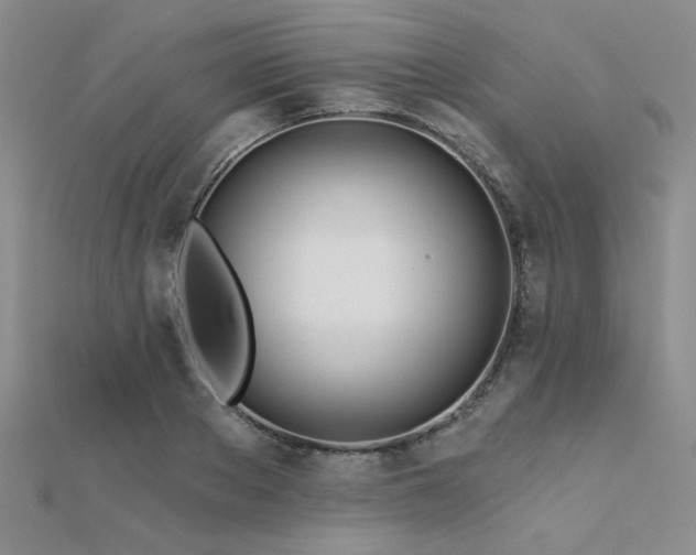 X0000112180889200908071324