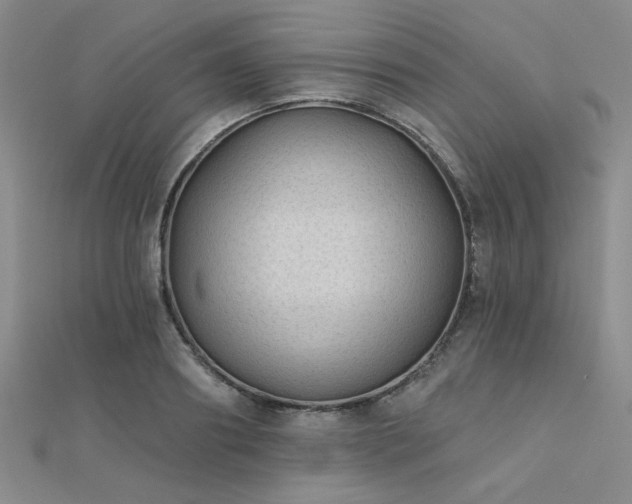 X0000112180890200908071324