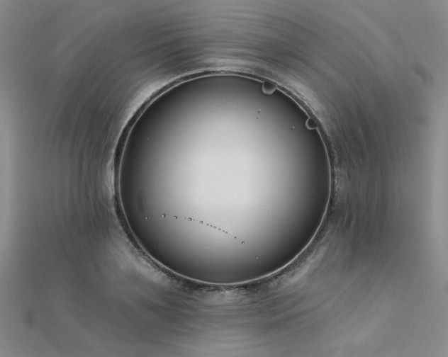 X0000112180891200908071324