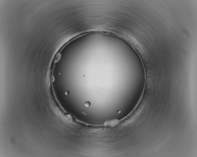 X0000112180892200908071324