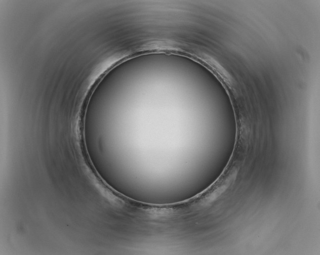 X0000112180893200908071324