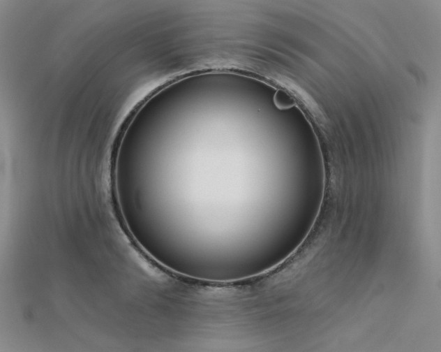 X0000112180894200908071324