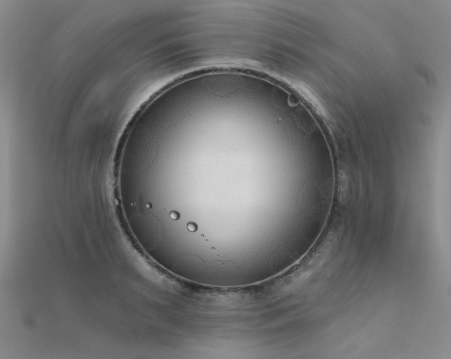 X0000112180895200908071324