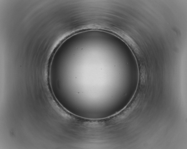 X0000112180896200908071324