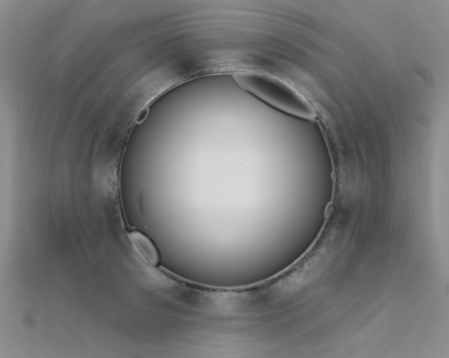 X0000112180897200908071324