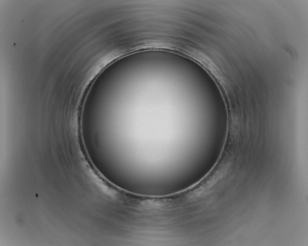 X0000112180898200908071324