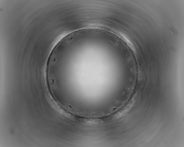 X0000112180899200908071324