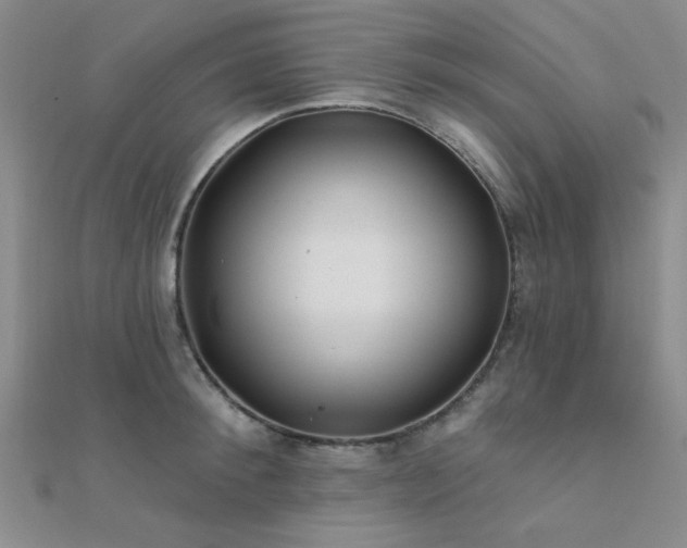 X0000112180900200908071324