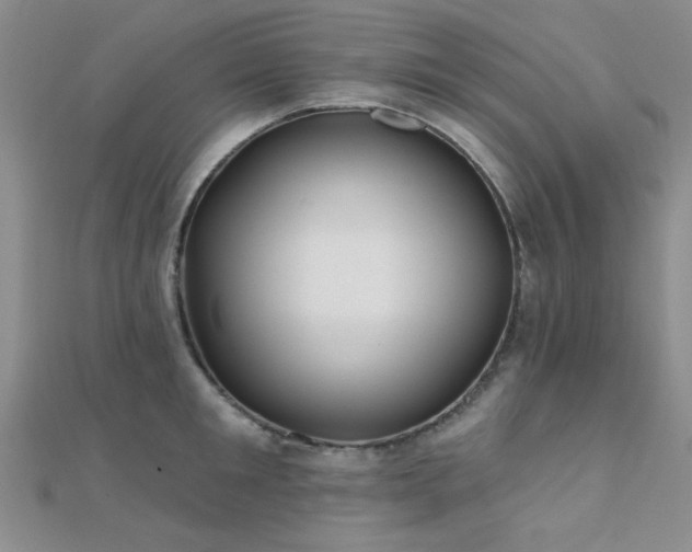 X0000112180901200908071324