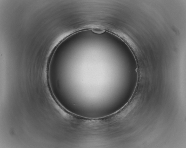 X0000112180902200908071324