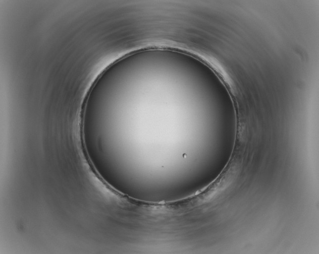 X0000112180903200908071324