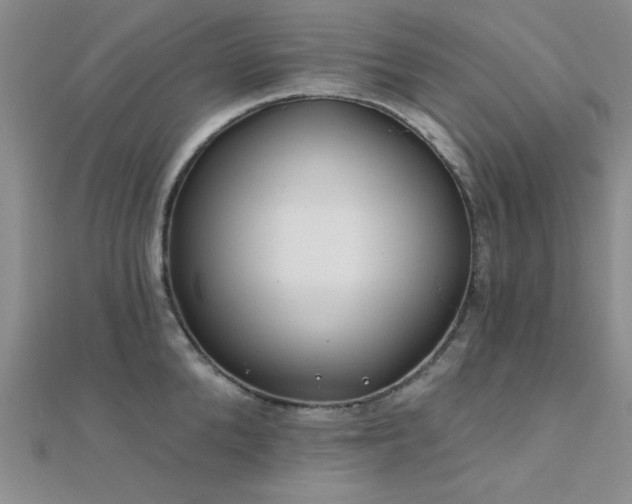 X0000112180904200908071324