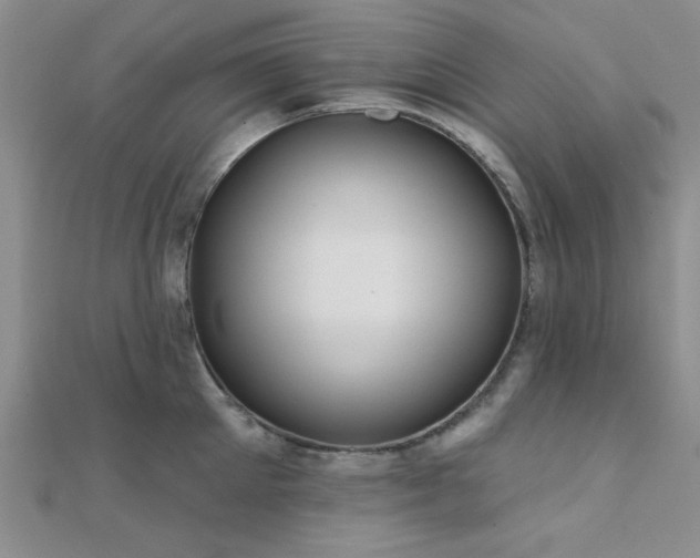 X0000112180905200908071324