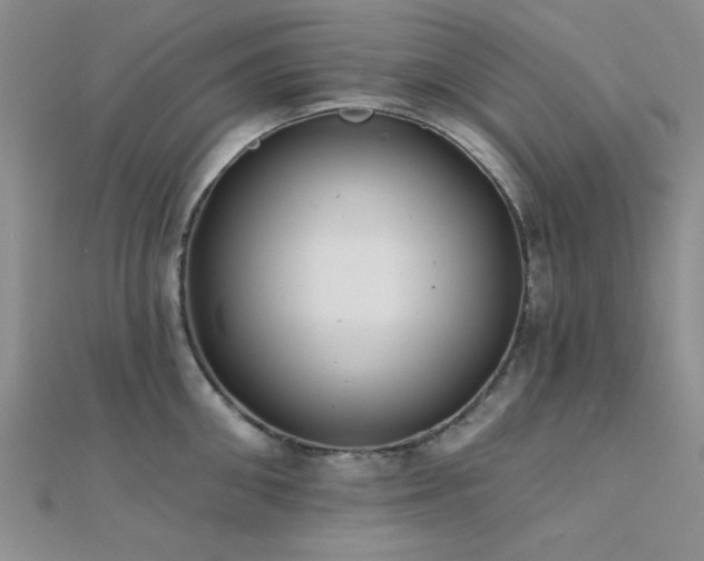 X0000112180906200908071323