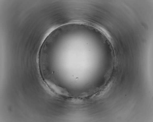 X0000112180907200908071323