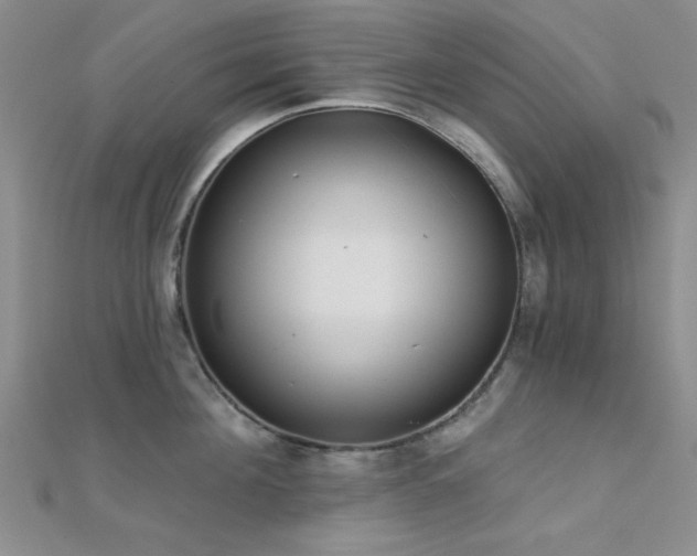 X0000112180908200908071323