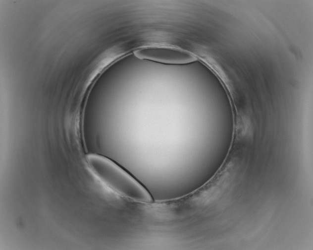 X0000112180909200908071323