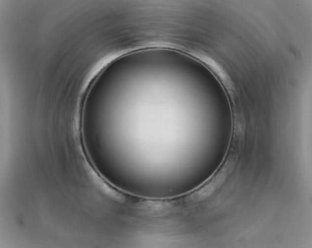 X0000112180910200908071323