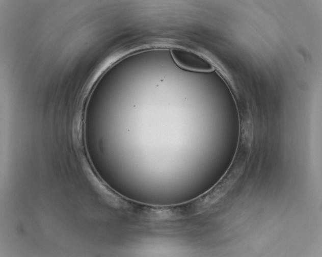 X0000112180911200908071323