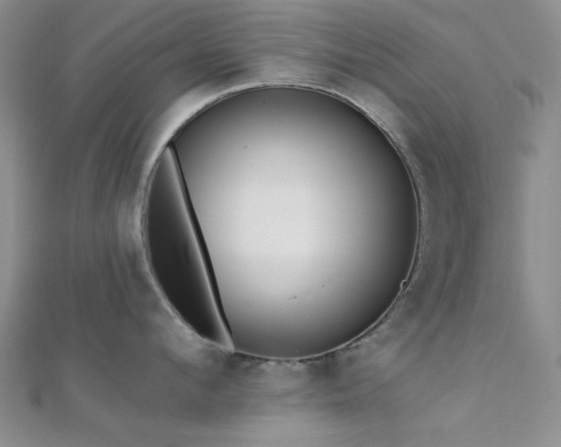 X0000112180912200908071323