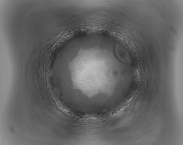 X0000112180913200908071323