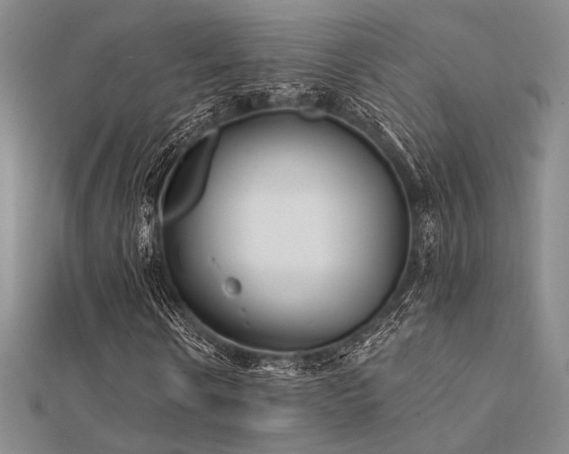 X0000112180914200908071323