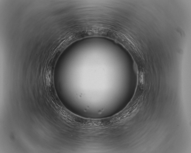 X0000112180915200908071323