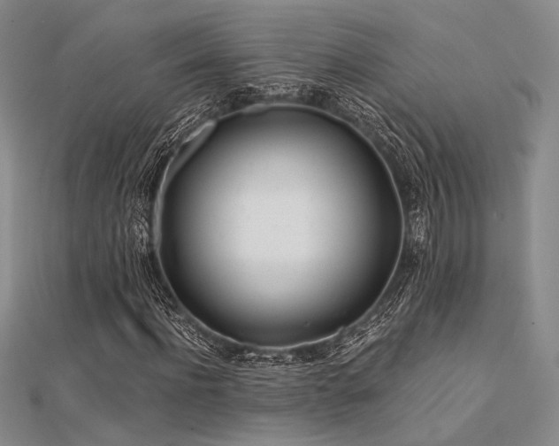 X0000112180916200908071323