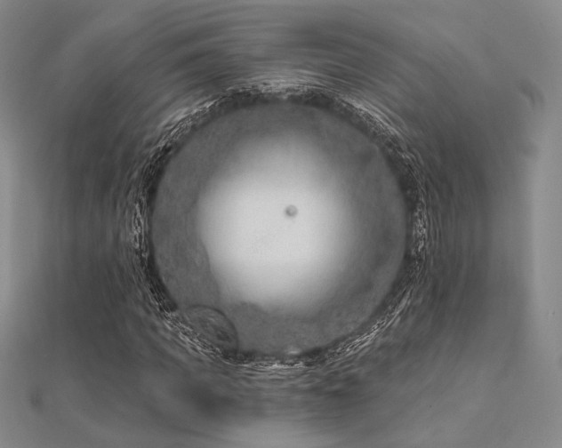 X0000112180917200908071323